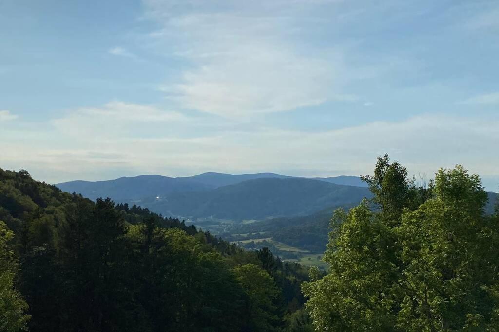Urig / Mitten Im Bayerischen Wald + Schonblick + Netflix Schöfweg Eksteriør billede